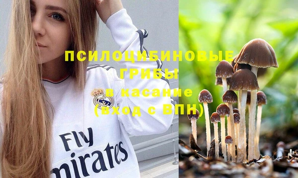 шишки Снежногорск