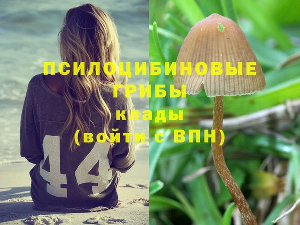 a pvp Балахна