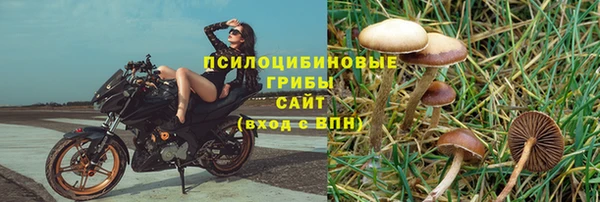сатива Снежинск