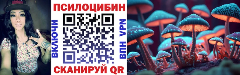 дарнет шоп  Козельск  Псилоцибиновые грибы ЛСД 